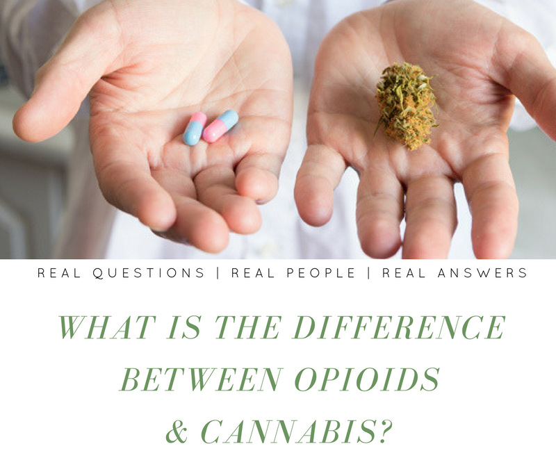 What is the difference between Opioids & Cannabis?